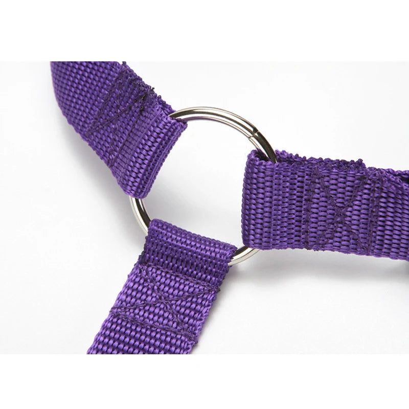 Ceinture de Sécurité 2-en-1 pour Chien – Laisse et Harnais Auto Réglable